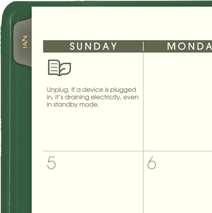 AT-A-GLANCE 2025 Planner, Monthly, 9" x 11", Large, Recycled, Green (70260G6025)