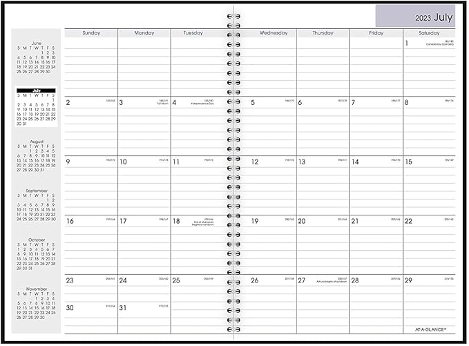AT-A-GLANCE 2023-2024 Academic Planner, Monthly, 8" x 12", Large, Flexible Cover, DayMinder, Black (AY200)