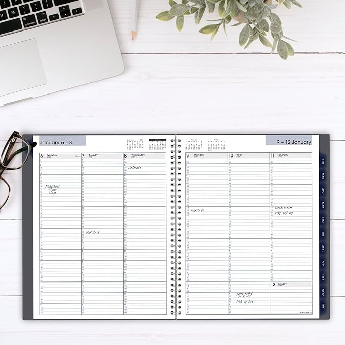 AT-A-GLANCE 2025 Appointment Book Planner, Weekly & Monthly, 8-1/2" x 11", Large, Quarter-Hourly, DayMinder, Gray (GC5200725)