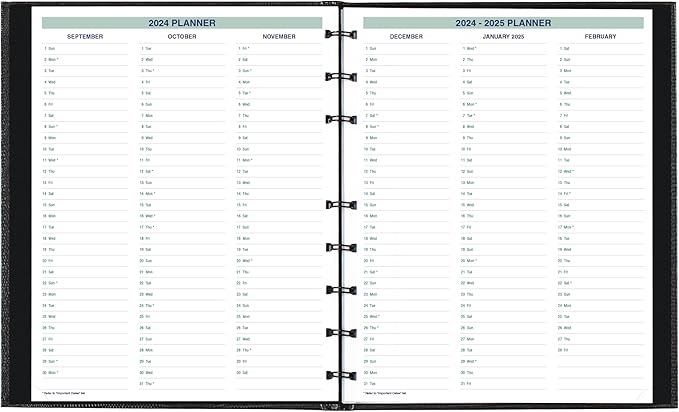Blueline® 2025 Plan & Link™ CoilPro™ Monthly Planner, 16 Months, September 2024 to December 2025, Twin-Wire Binding, 9.25" x 7.25", Black, English (C1200C.81T-25)