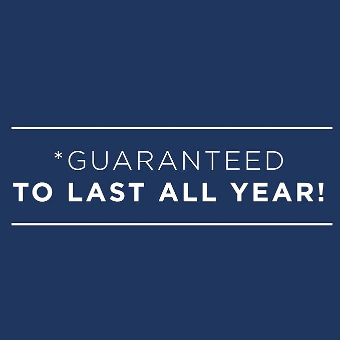 AT-A-GLANCE 2024 Weekly Planner, DayMinder, Hourly Appointment Book, 3-1/2 x 6", Pocket Size, Tabbed Telephone/Address Pages, Texture Cover, Black (G2500024)