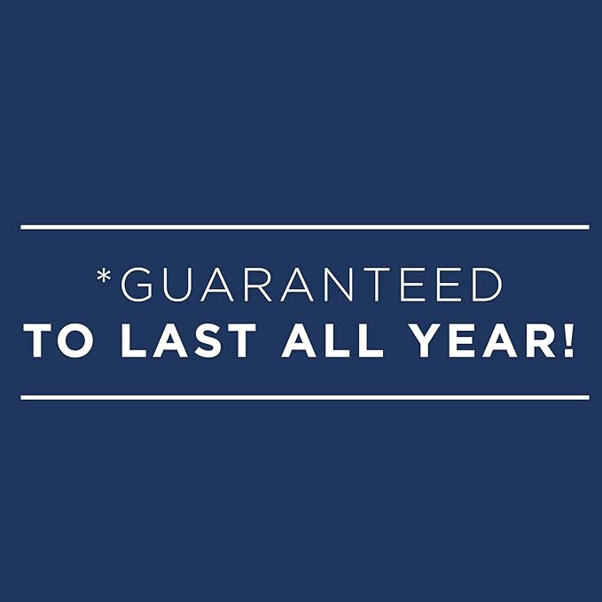 AT-A-GLANCE 2024 Monthly Planner, DayMinder, 8" x 12", Large, Black (SK20024)