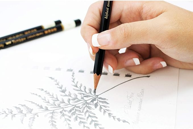 Tombow 51509 MONO Drawing Pencil, HB, Graphite 12-Pack