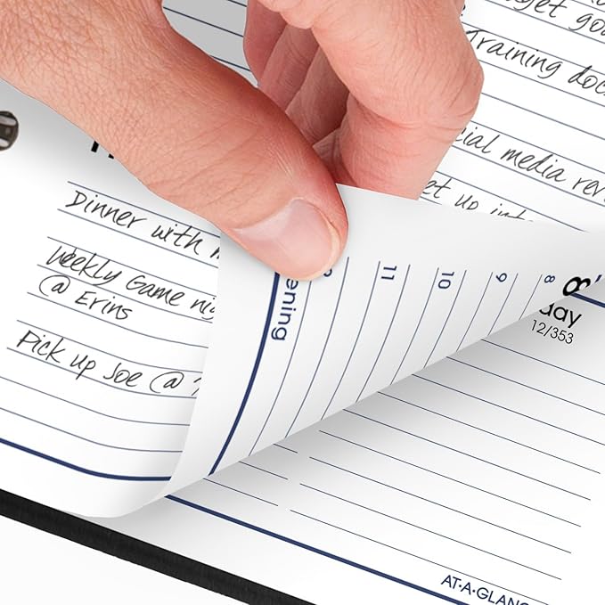 AT-A-GLANCE 2025 Planner, Weekly, 3-1/2 x 6", Pocket Size, Hourly, DayMinder, Black (G2500025)