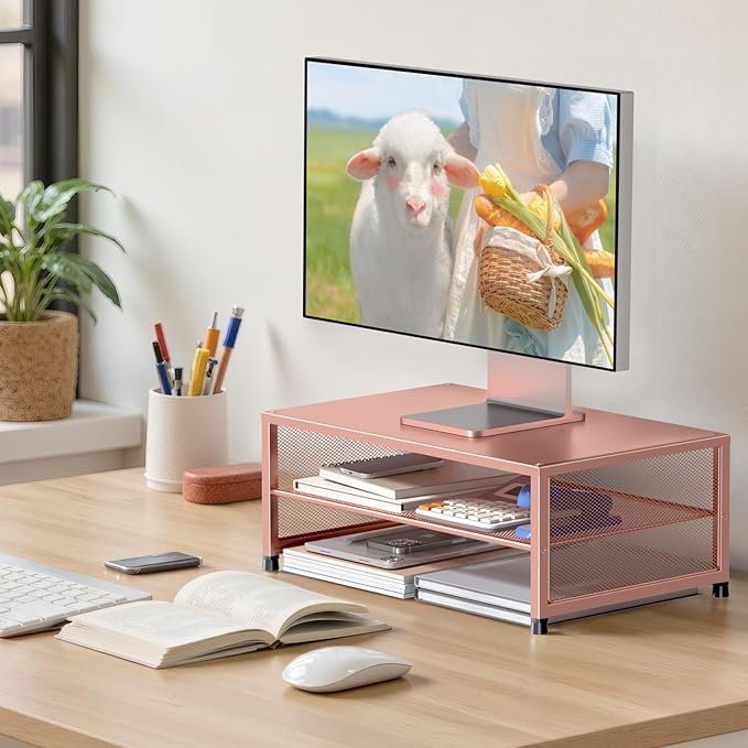 2-Tier Computer Monitor Stand Riser, Desk Organizer for Monitor, Printer & Laptop Stand, Desktop Workspace Organizers for Office Supplies(Rose Gold)